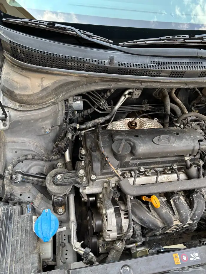 اكسنت 2022 ممشى 131 20