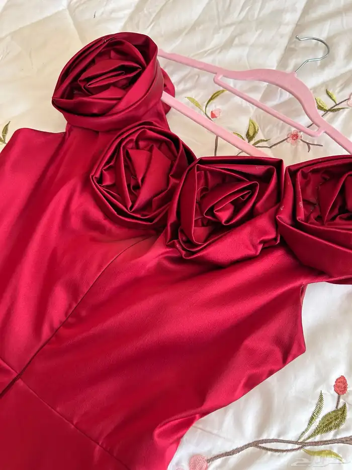 فستان فخم كلفني حول الفين تفصيل وقماش 4