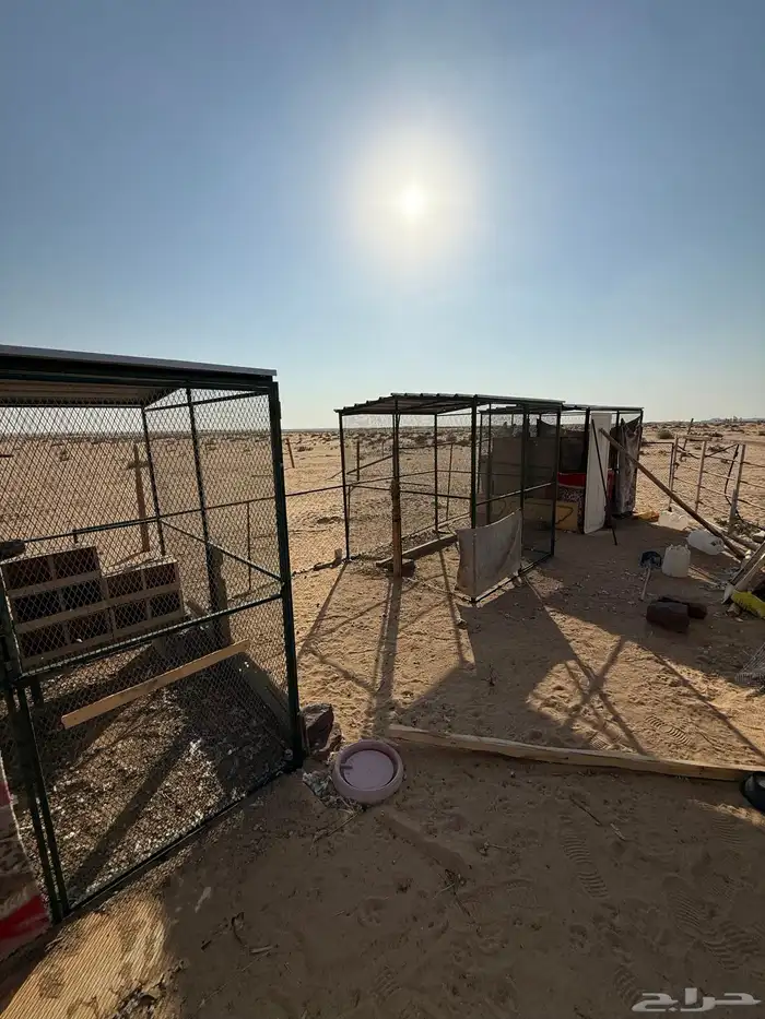 مخيم مجهز كامل 2