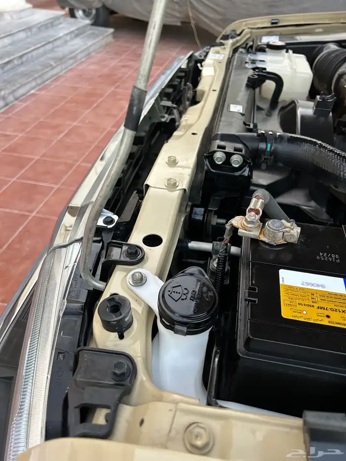 شاص ديزل غمارتين كويتي 2022 59