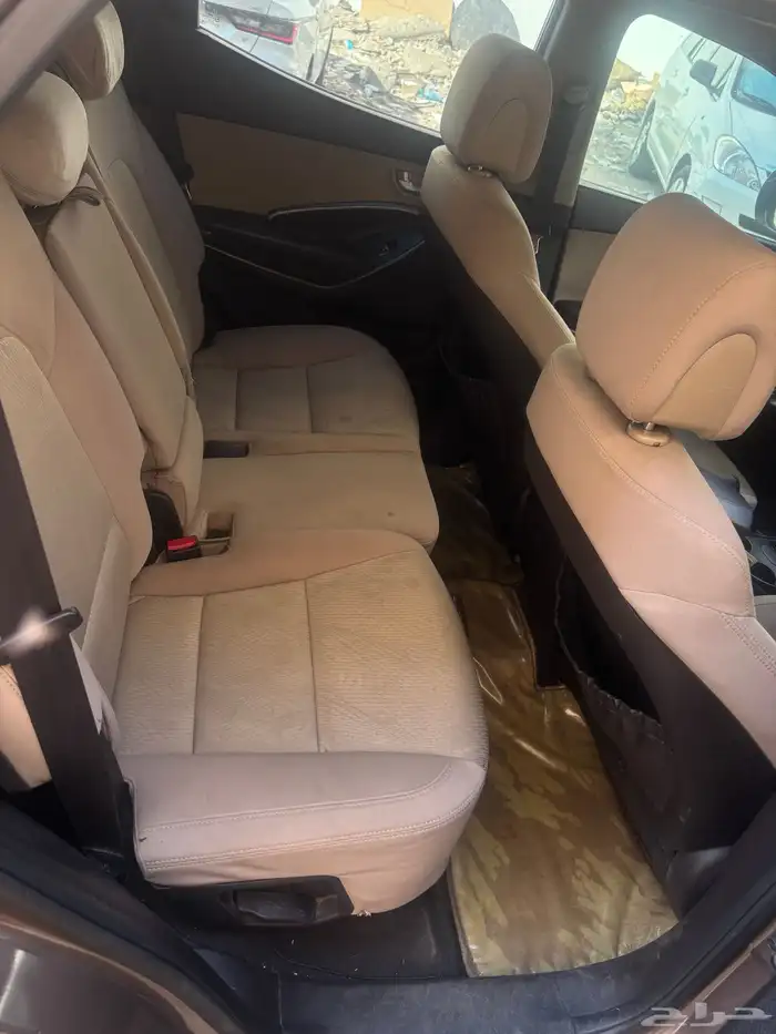 سنتافي 2013 12