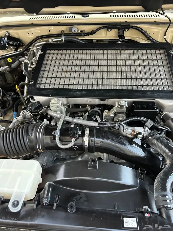 شاص ديزل غمارتين كويتي 2022 54