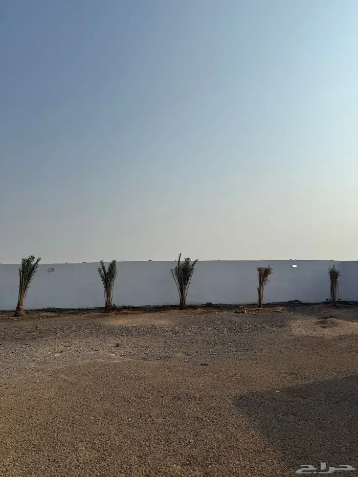 بيت شعبي للبيع استراحة قرية مستورة محافظة رابغ 0