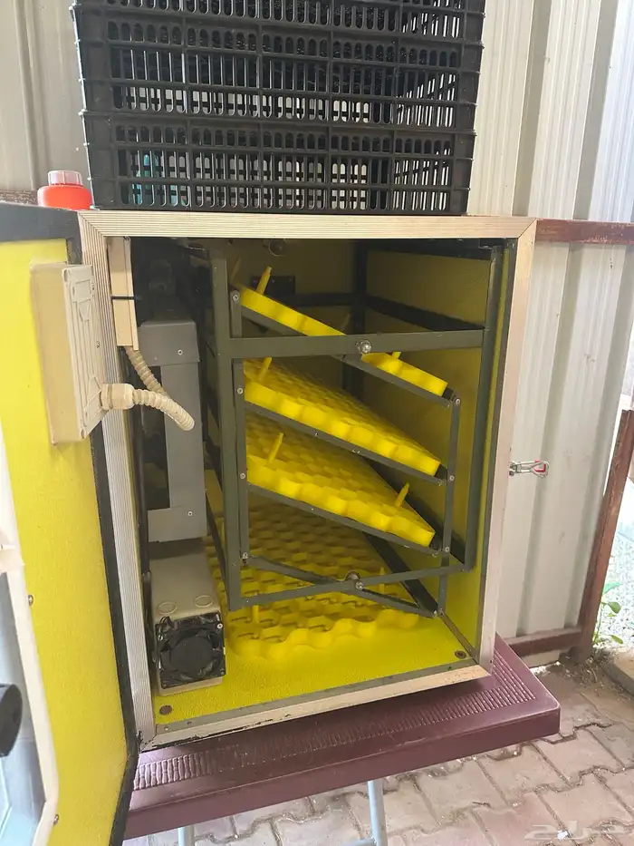 فقاسه حجم 320 بيضه انوع PTO أخت الجديدة 0