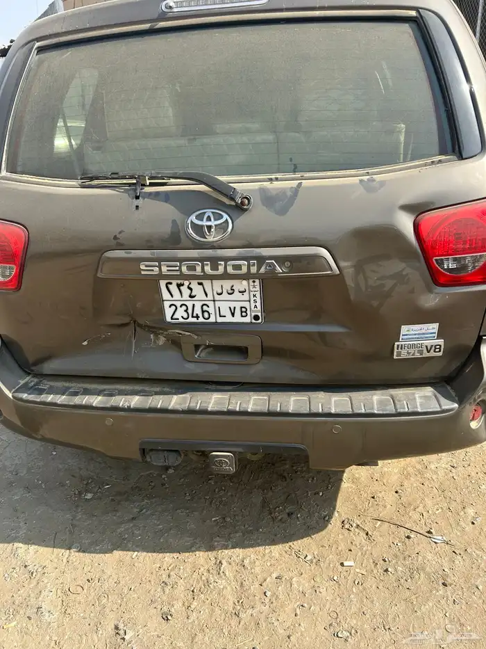 سكويا للبيع 4