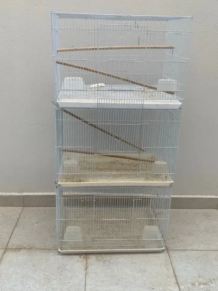 أقفاص انتاج مقاس 601 3