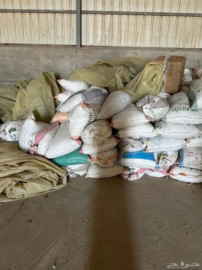 البيع تمر علف 3