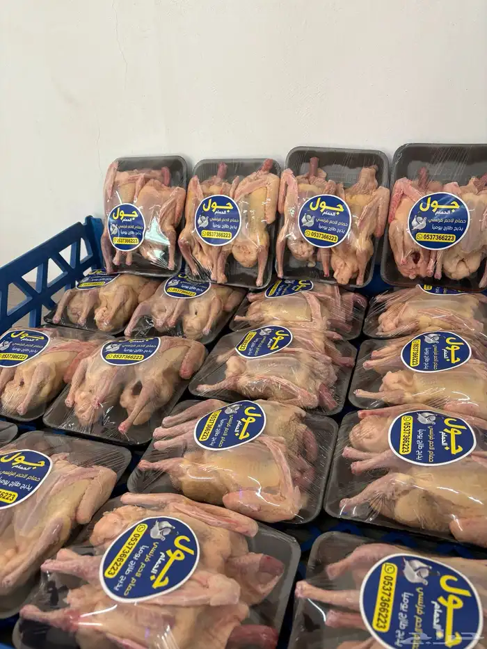 زغاليل حمام فرنسي 4