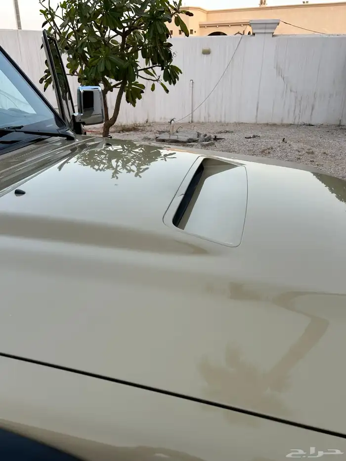 شاص ديزل غمارتين كويتي 2022 49