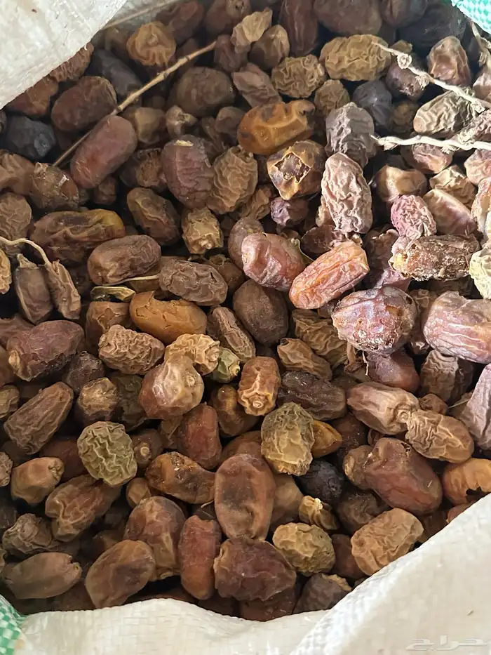 البيع تمر علف 2