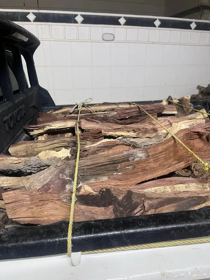 للبيع حطب مستورد الموقع رماح 53 868 7311 3