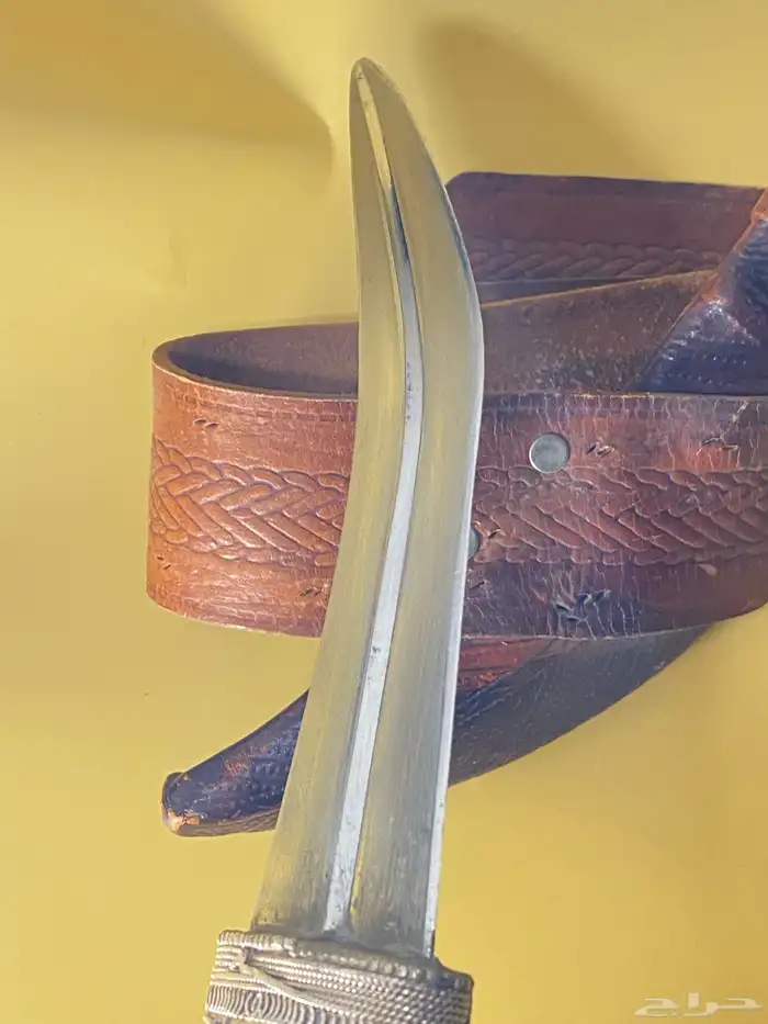 جنبيه قرن قديمه مقبض راهي 2