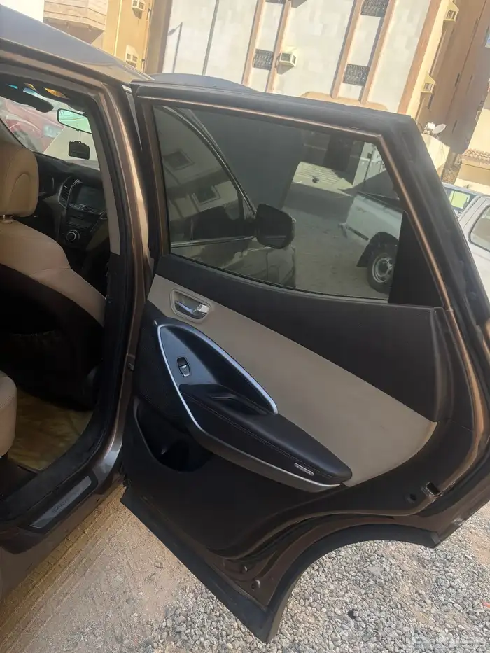 سنتافي 2013 11