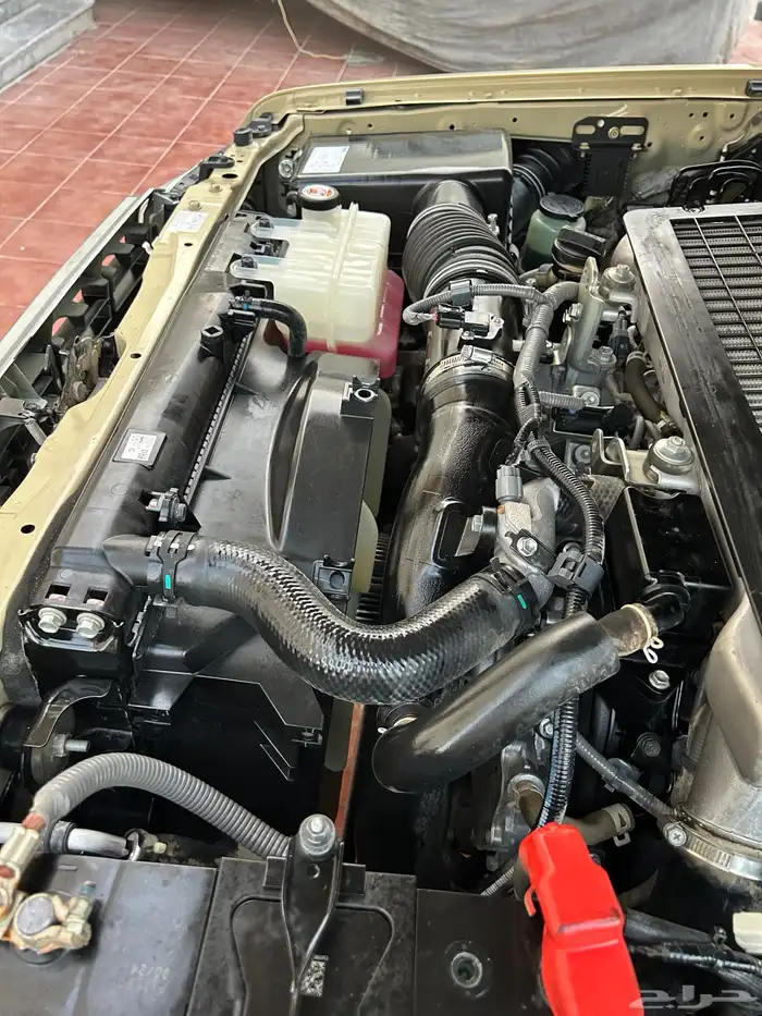 شاص ديزل غمارتين كويتي 2022 63