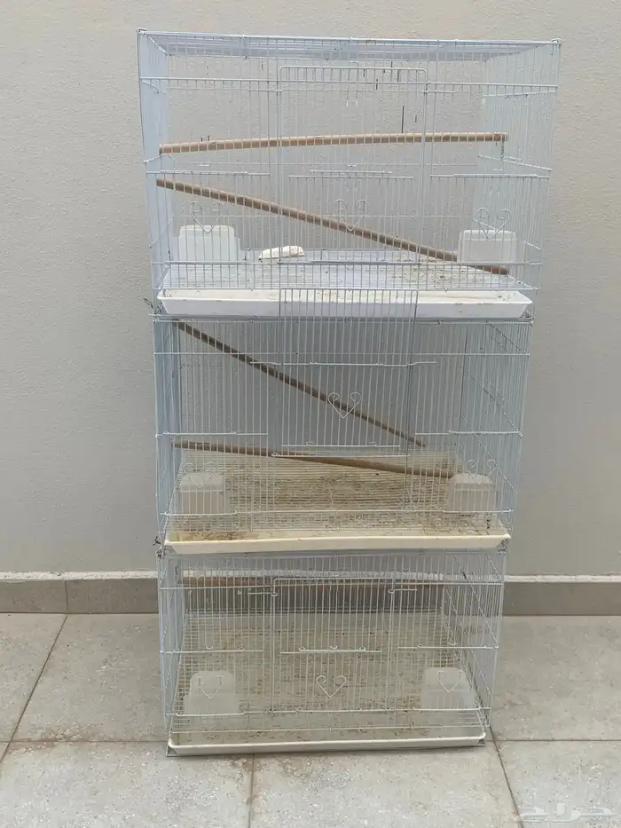 أقفاص انتاج مقاس 601 1