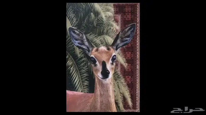 لوحات جداريه 9