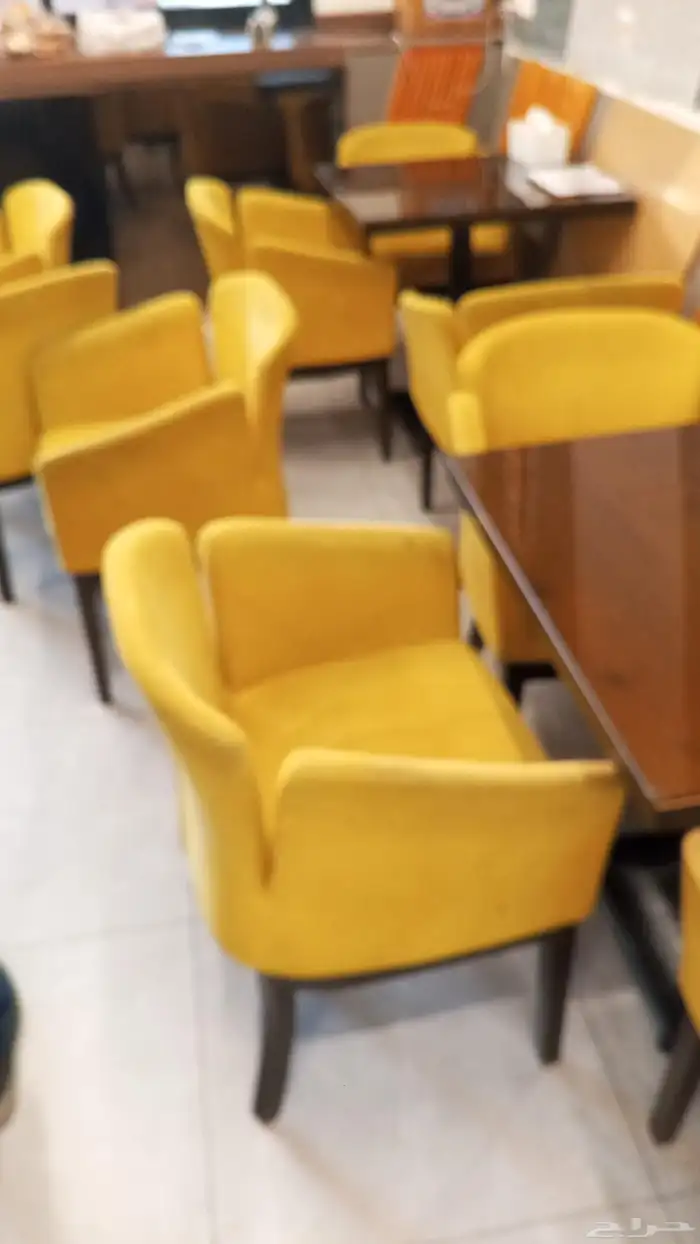 شركة تنظيف كنب بالبخار بجدة 0