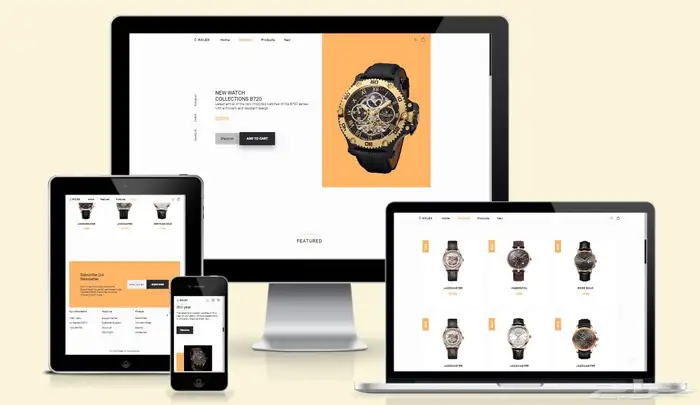 تصميم و تطوير مواقع الالكترونية تعريفية للشركات و المؤسسات 1