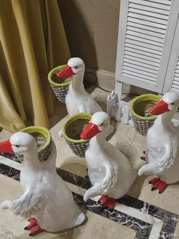 كاميرا Nikon DX تصوير عادي وفيديو 10