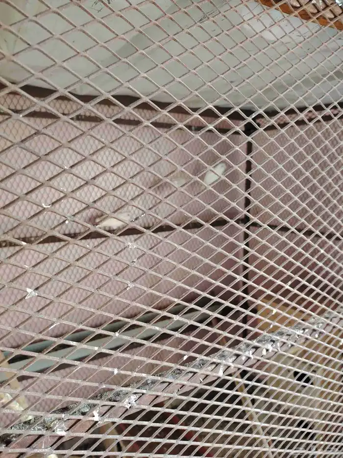 دره وكروان وعاشق معشوق وروز ثلجي للبيع 1