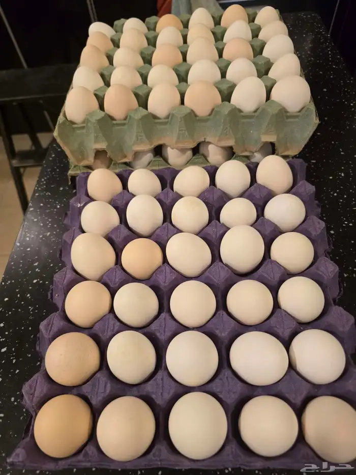 بيض بلدي خال من الهرمونات اكل صحي لايفوتك 1