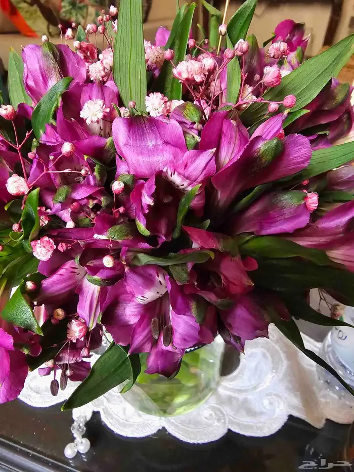 كاميرا Nikon DX تصوير عادي وفيديو 13