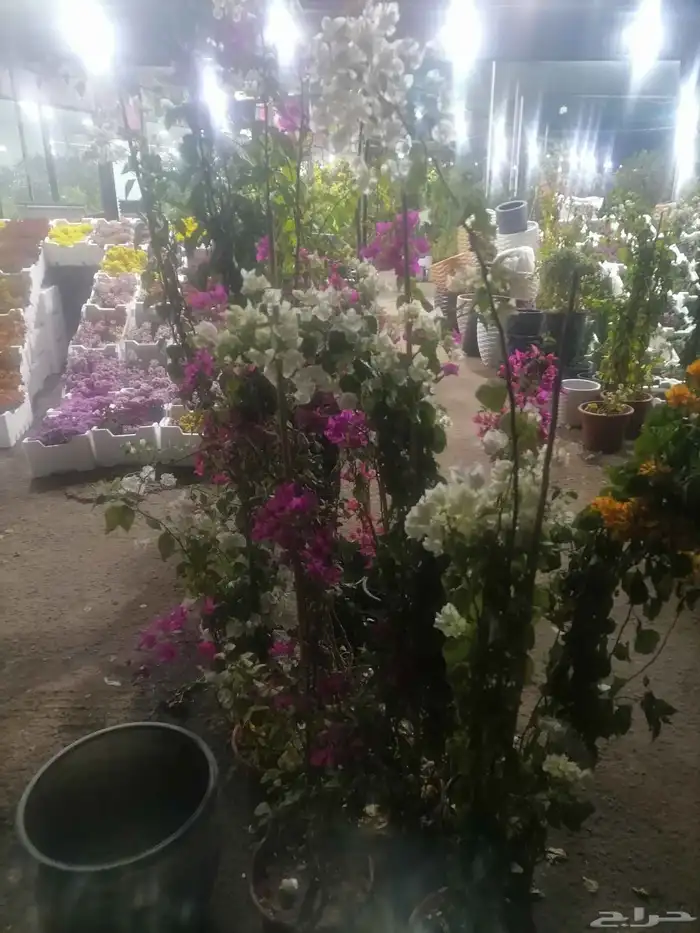 زرع طبيعي وثيل طبيعي وشبكات الري ومشتل زراعية طبيعي 3