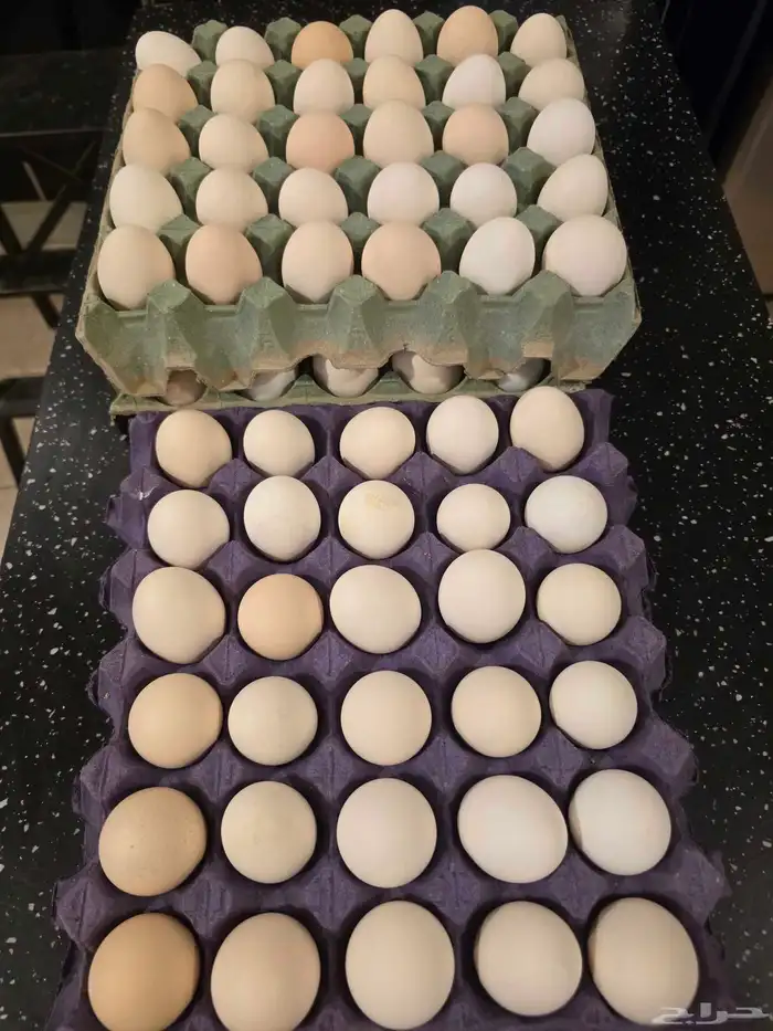 بيض بلدي خال من الهرمونات اكل صحي لايفوتك 0