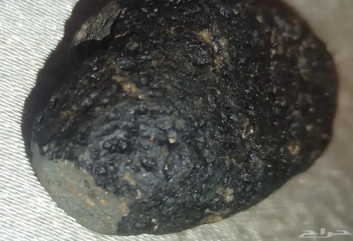 نيزك الجمال الأسود..12..Black Beauty Meteor 5