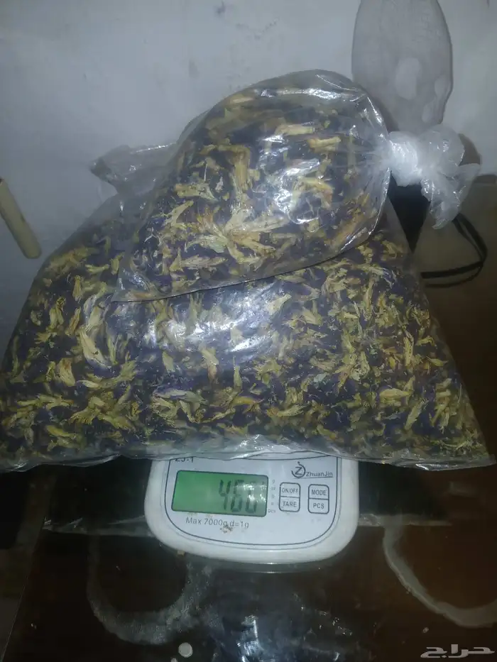 شاي ازرق نظارة شمسية ذكية ساعة كلاسك 7