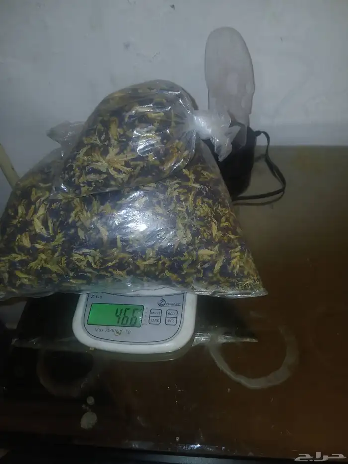 شاي ازرق نظارة شمسية ذكية ساعة كلاسك 9