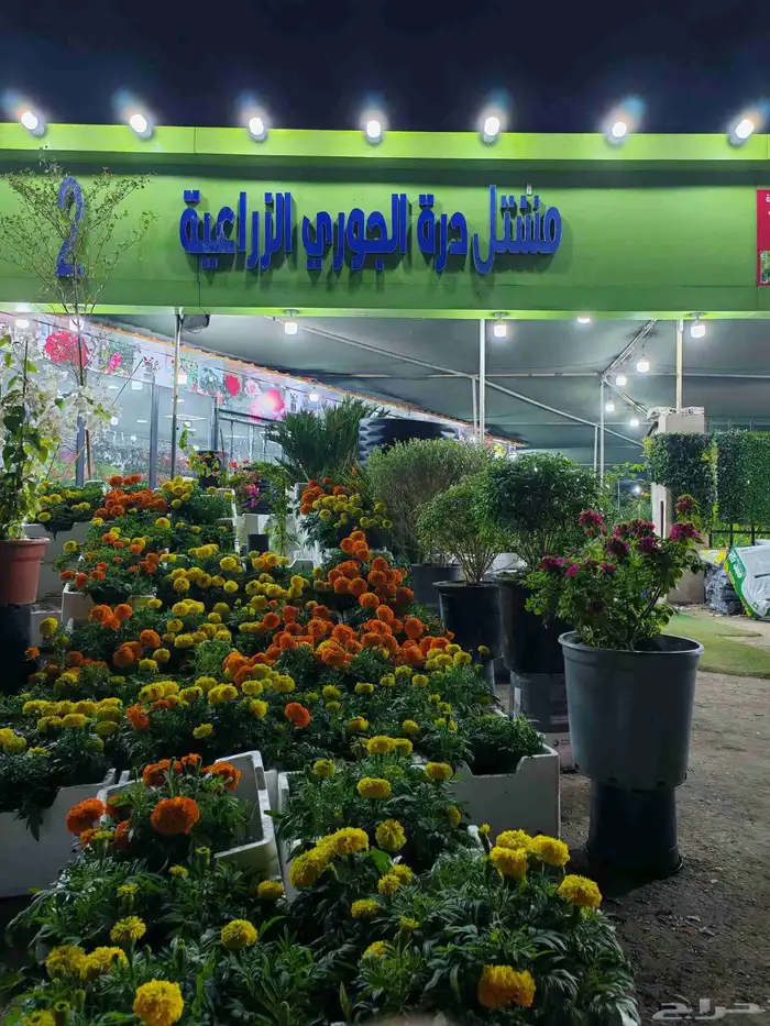 زرع طبيعي وتيل طبيعي وأشجار طبيعي وسماد الأماني مشتل زرع 5