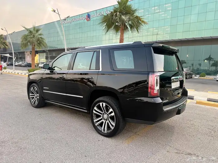 يوكن دينالي 29