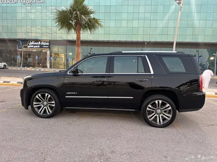 يوكن دينالي 19