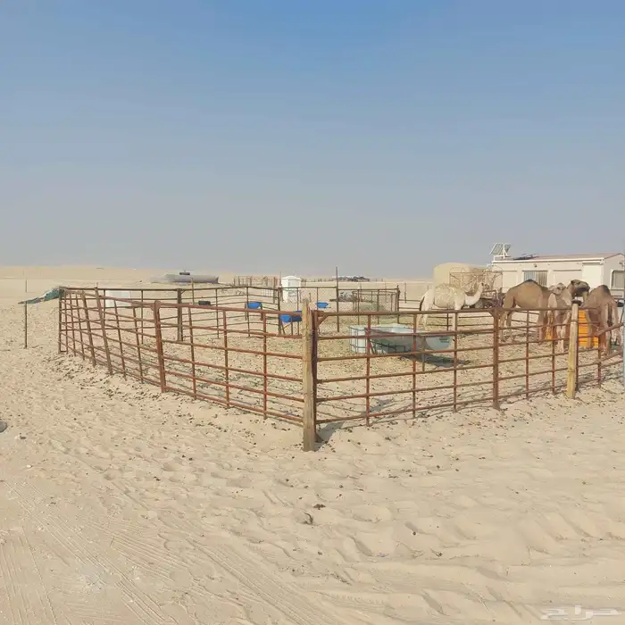 كرفانات وابل للبيع 1