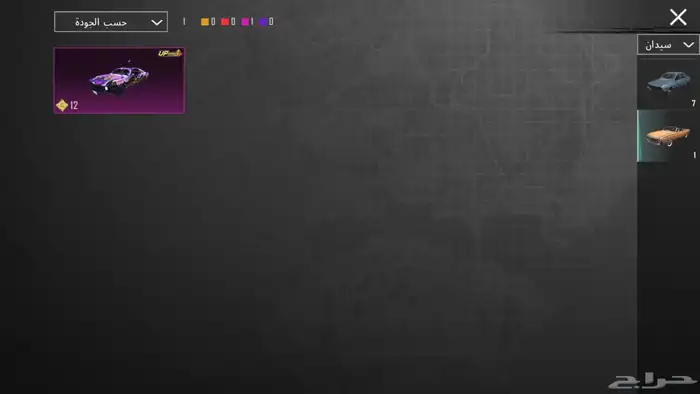 للبيع   حساب PUBG نادر وفخم السعر فوق1000 ريال 17