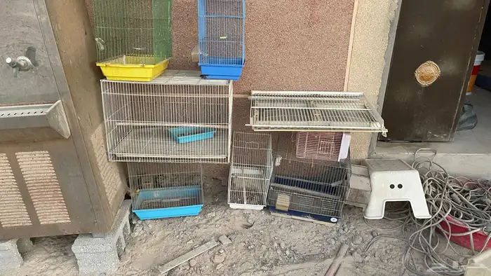 الاحساء الطرف 1