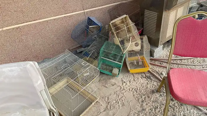 الاحساء الطرف 0