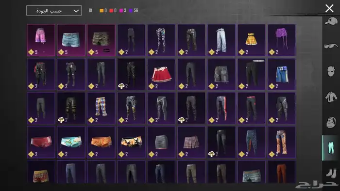 للبيع   حساب PUBG نادر وفخم السعر فوق1000 ريال 21