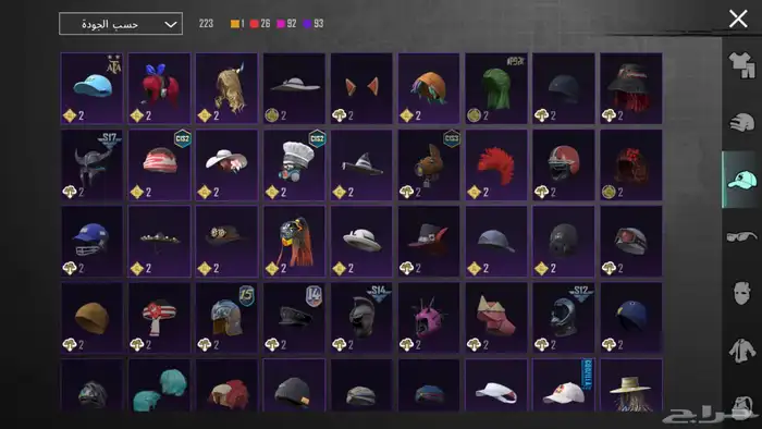 للبيع   حساب PUBG نادر وفخم السعر فوق1000 ريال 28