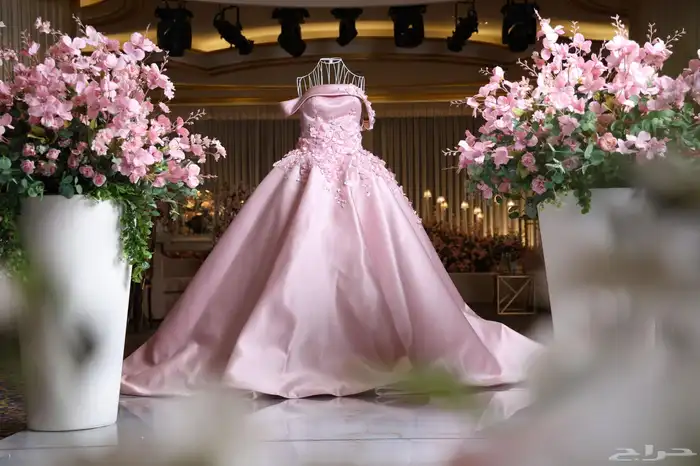 فستان ملكة 0