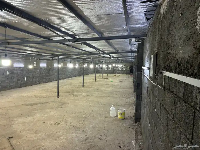 عنبر دواجن للإيجار 0