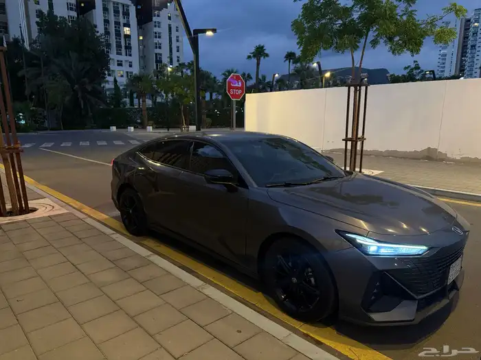 شانجان يوني في 2024 3