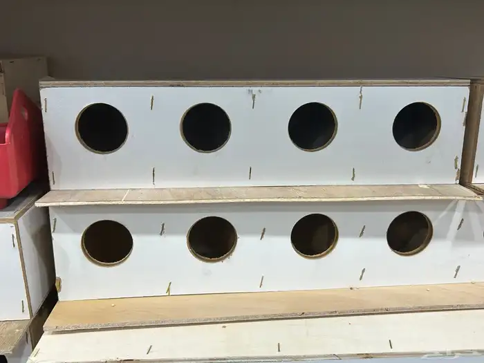 مستلزمات طيور وقطط 4