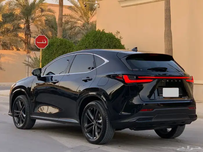 لكزس NX350 2022 عداد قليل 7