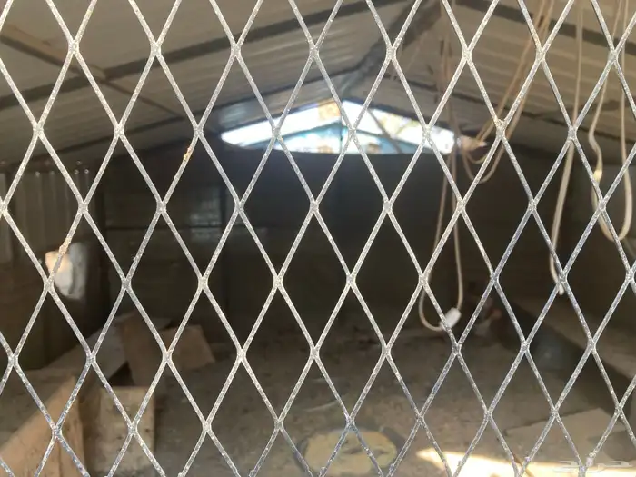 شبكين للدجاج للبيع 4