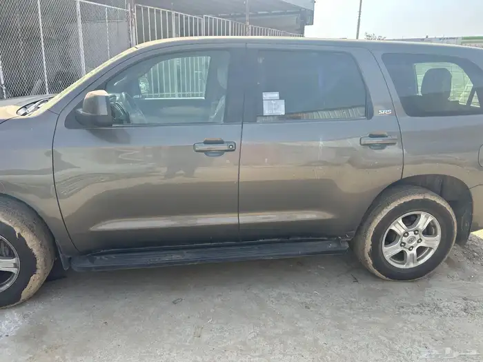 سكويا للبيع 0