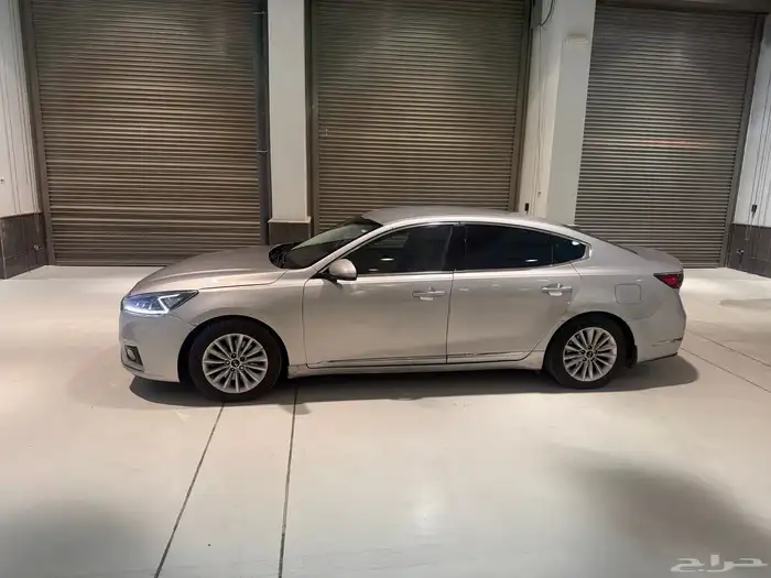 كادينزا 2018 5