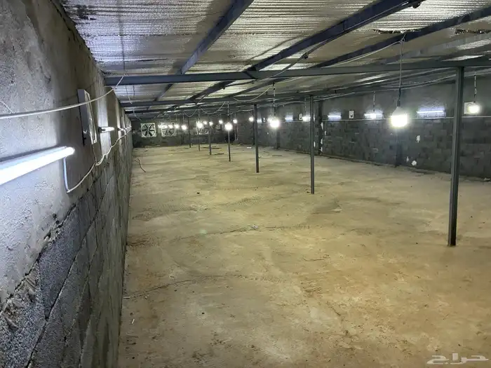 عنبر دواجن للإيجار 1