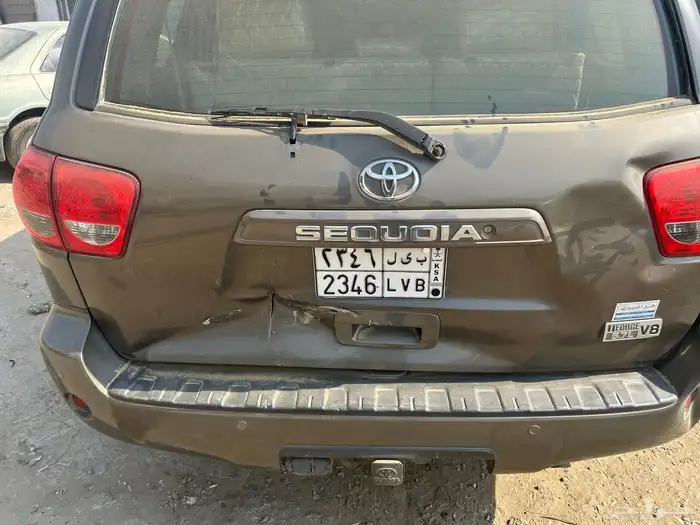 سكويا للبيع 3